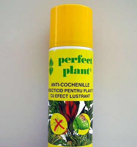 Spray Insecticid anti-cochenille cu efect lustrant Perfect Plant 200ml  